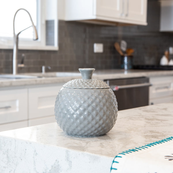 Fruit Fly Catcher in Grey
