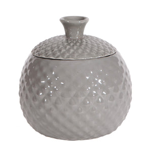 Fruit Fly Catcher in Grey